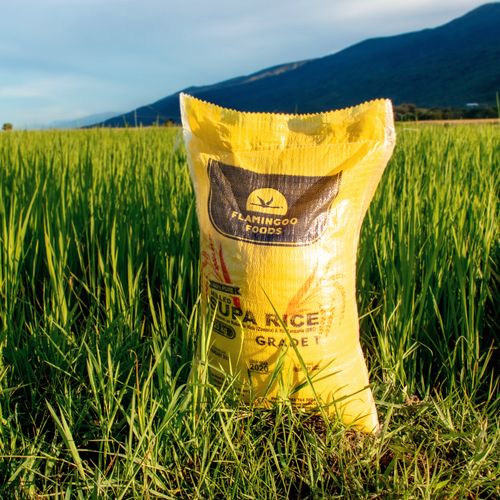 Flamingoo Foods Rice in Field