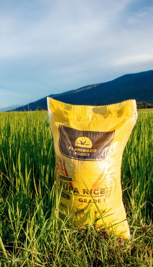Flamingoo Foods Rice in Field