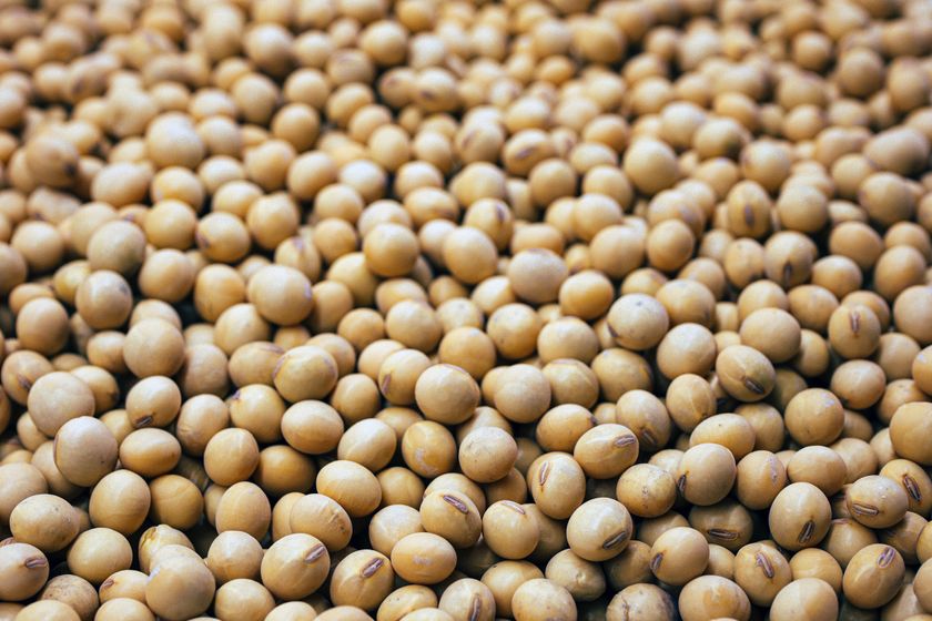 Soybeans