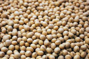 Beans