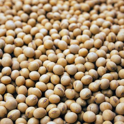 Soybeans