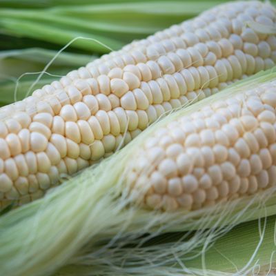 Maize